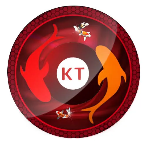 koitoto APK TPS